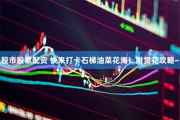 股市股票配资 快来打卡石梯油菜花海！附赏花攻略~